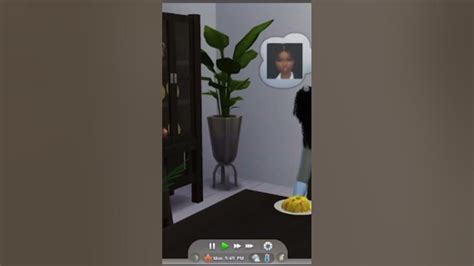 dayinthelife sims